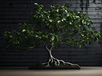 Bonsai Tree In Front Of A Wall 3D Rendering Stock Photo