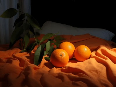 Oranges In Bed That Are Near The Light